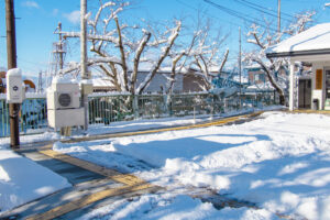 雪けしくん活躍